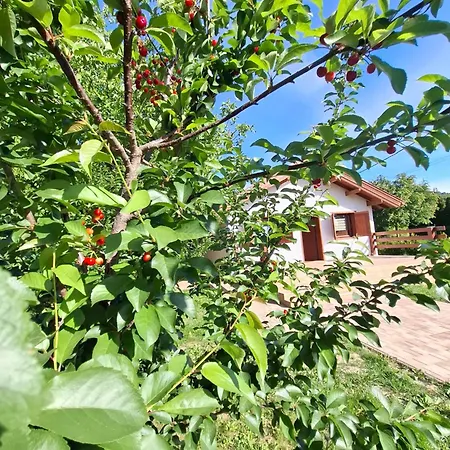 Holiday home Fakucko Vendeghaz *