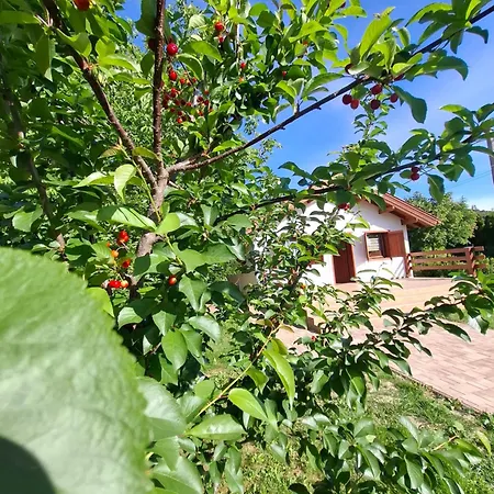 Fakucko Vendeghaz Holiday home *