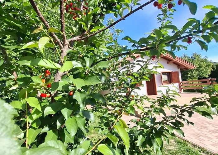 Vakantiehuis Fakucko Vendeghaz *